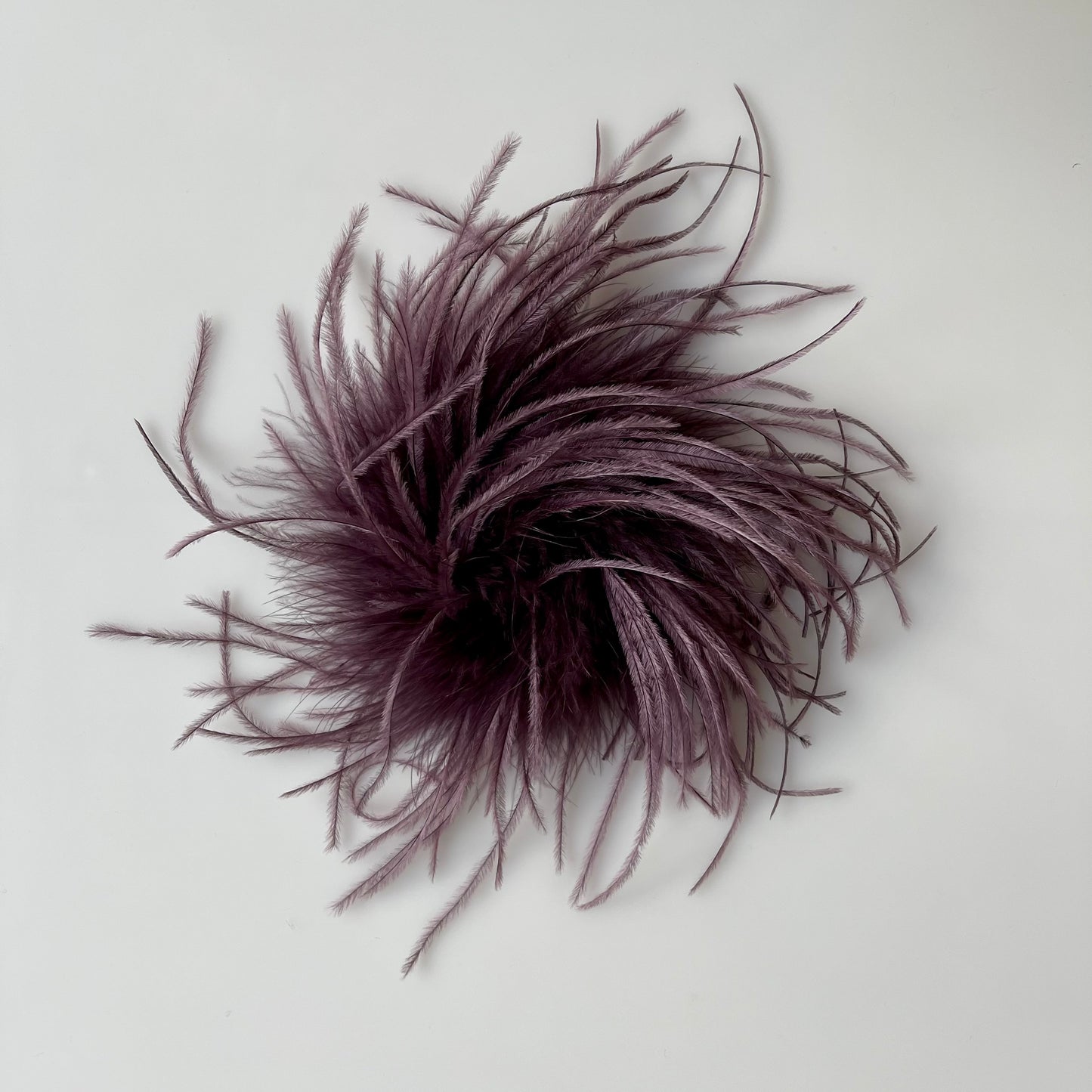 BROCHE EN PLUMES - EXQUISITE